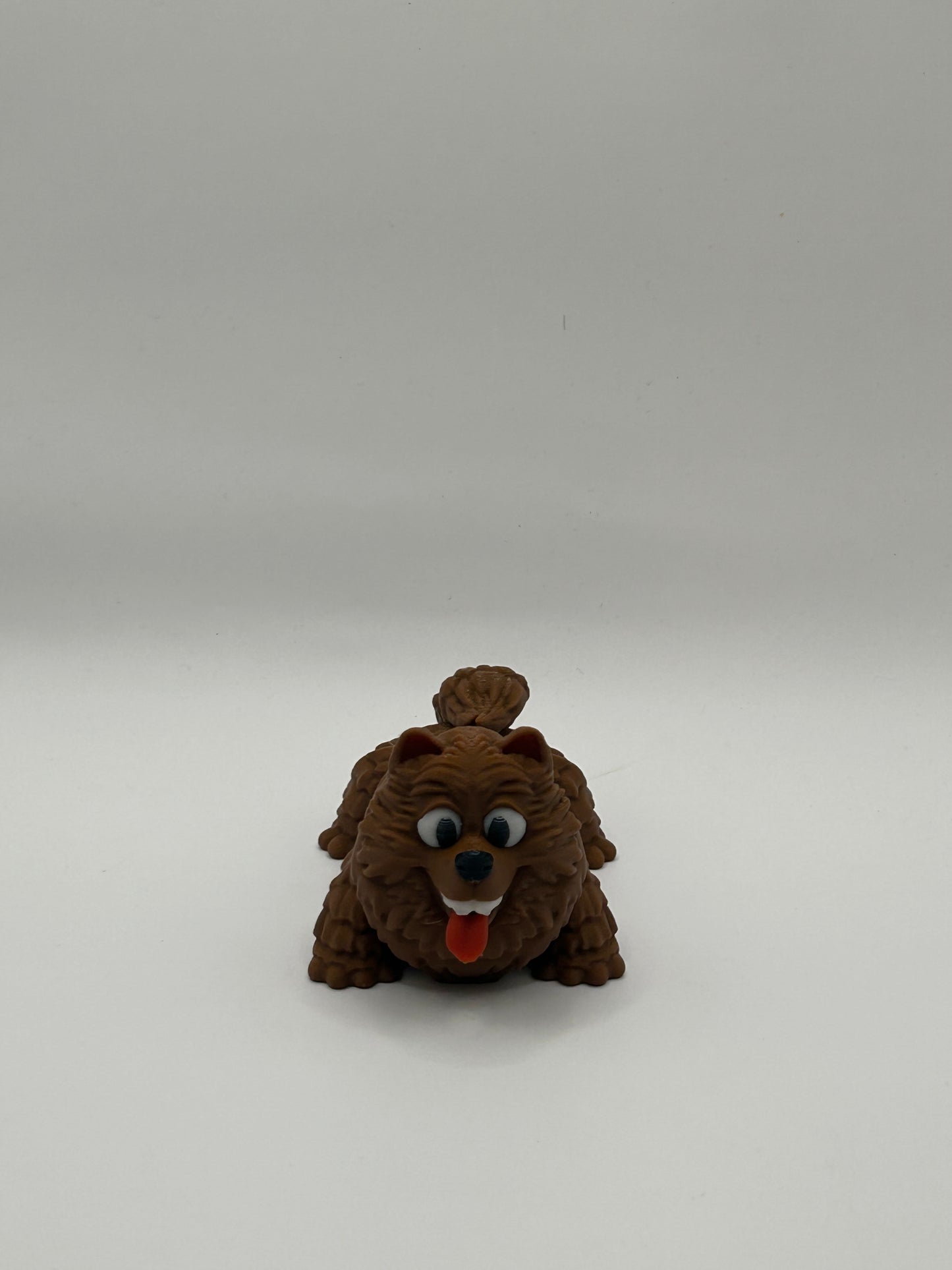 Pomeranian Happy Dog