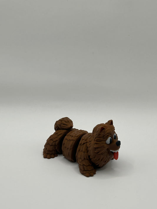 Pomeranian Happy Dog