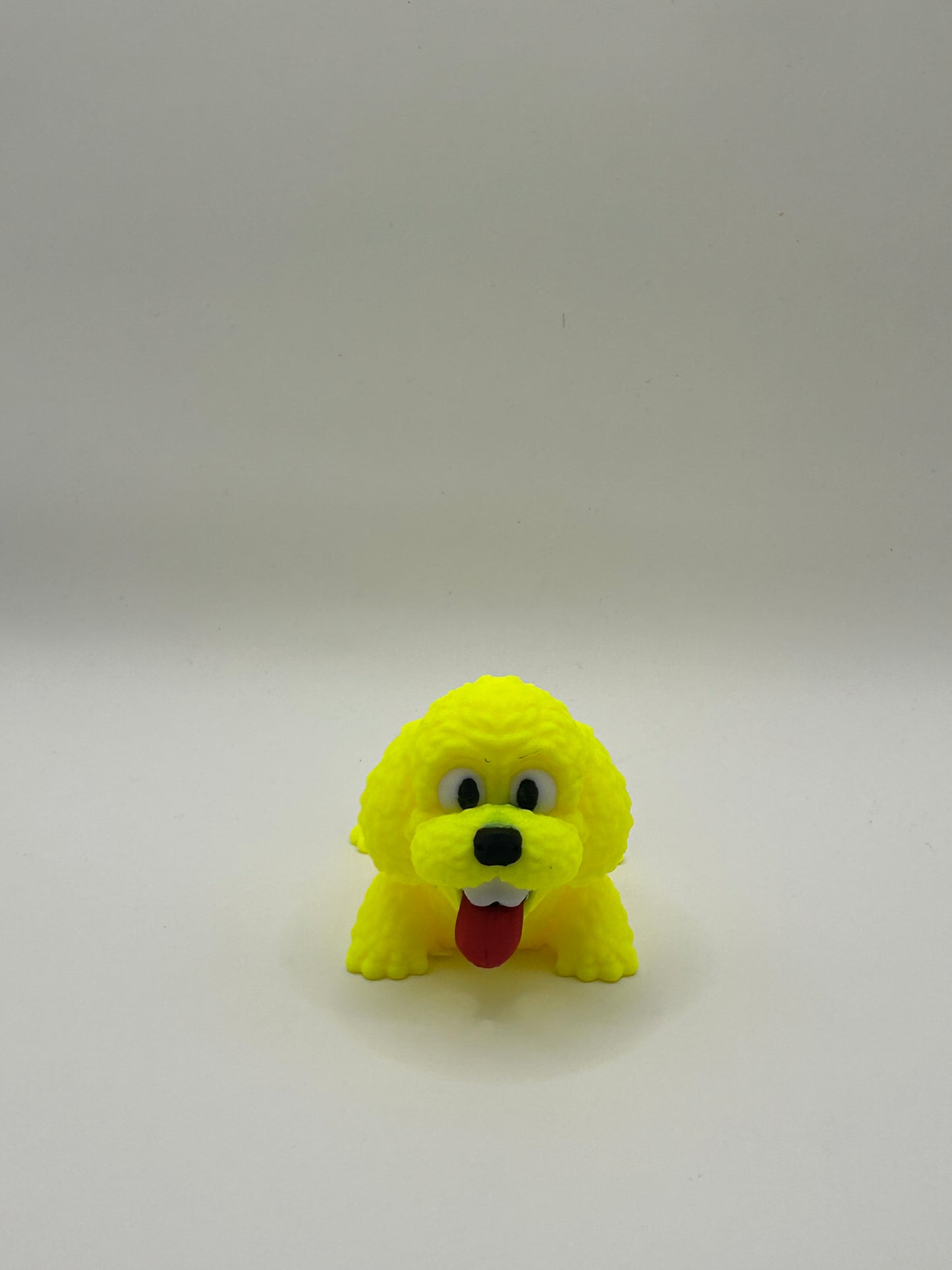 Poodle Happy Dog