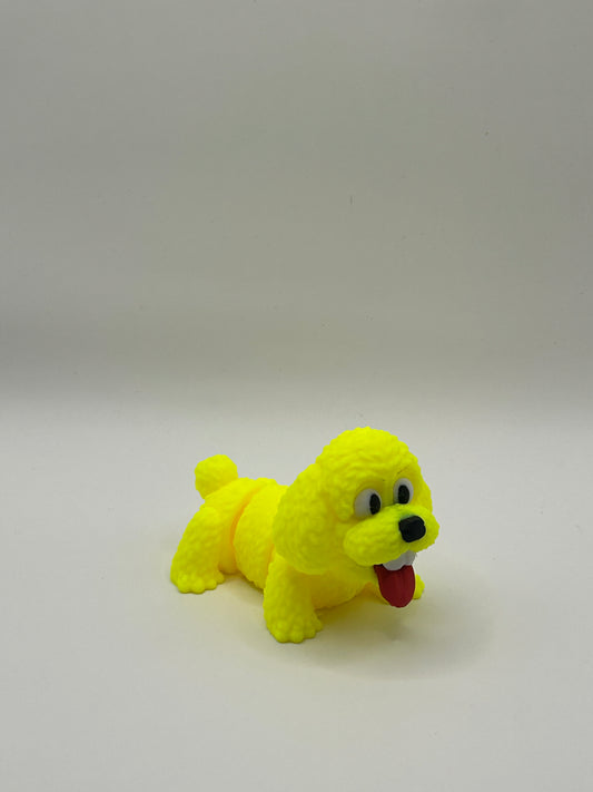 Poodle Happy Dog