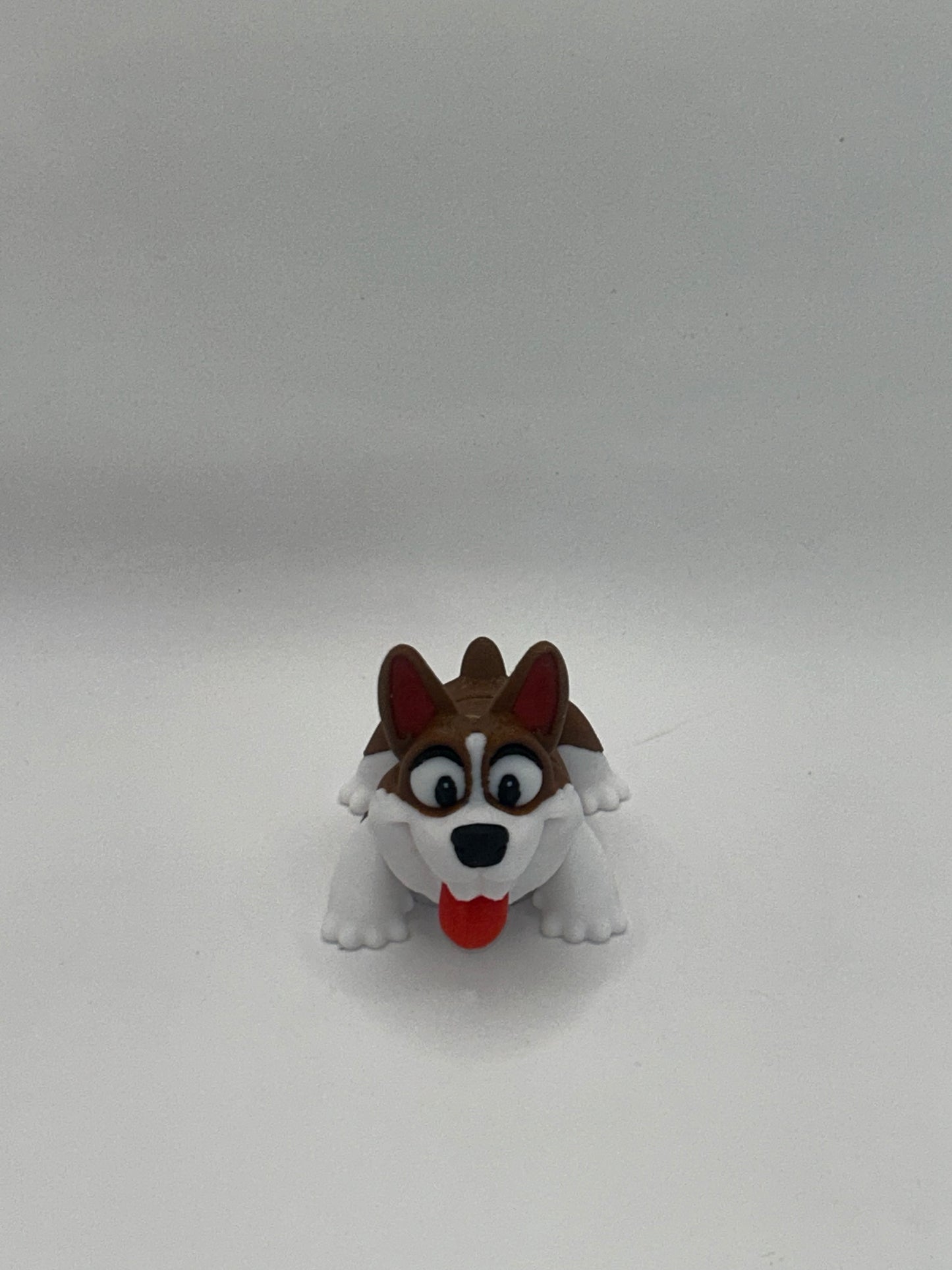 Corgi Happy Dog