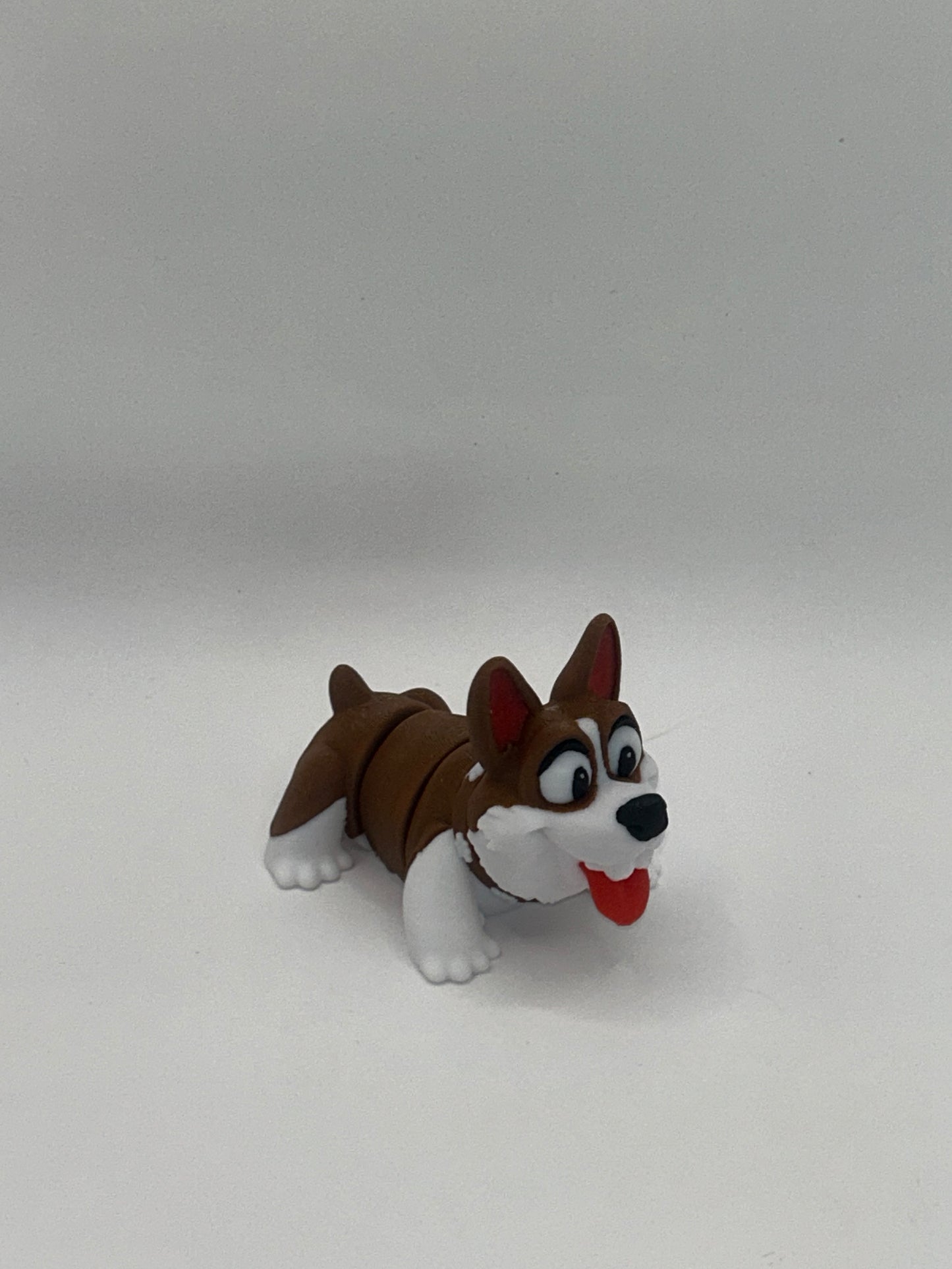 Corgi Happy Dog