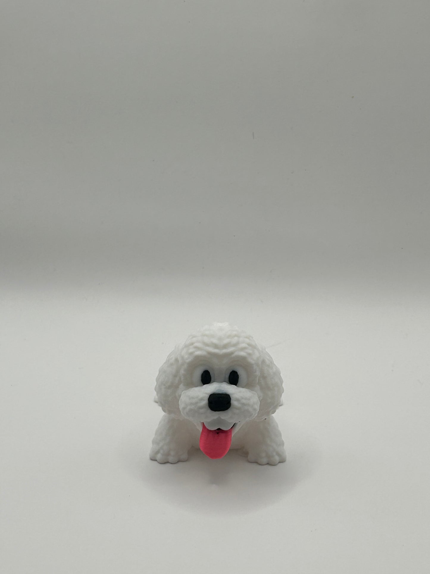 Poodle Happy Dog