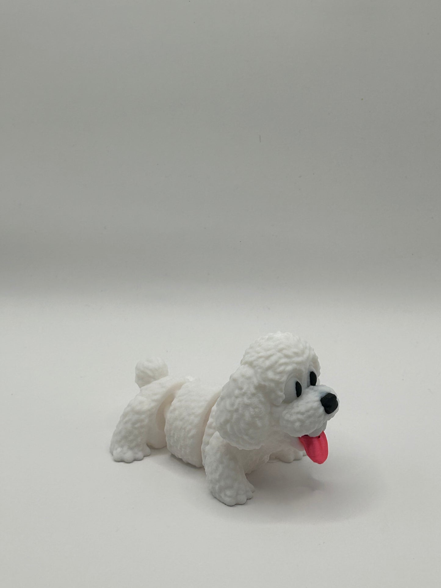 Poodle Happy Dog