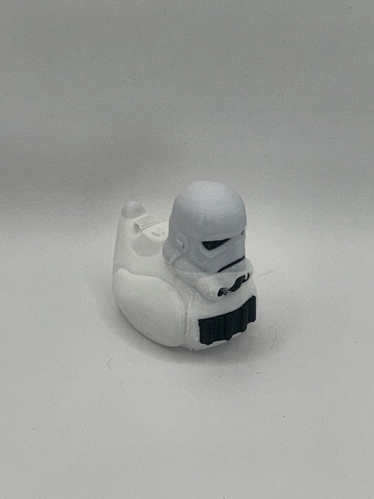 Storm Duck